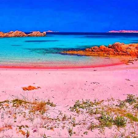 Mimosa Con Parcheggio Privato E Vista Mare 公寓 马达莱纳